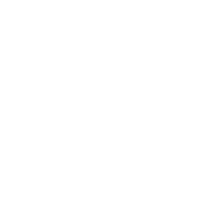 Logo GAD NAPO
